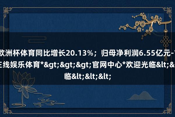 欧洲杯体育同比增长20.13%；归母净利润6.55亿元-*万博在线娱乐体育*>>>官网中心*欢迎光临<<<