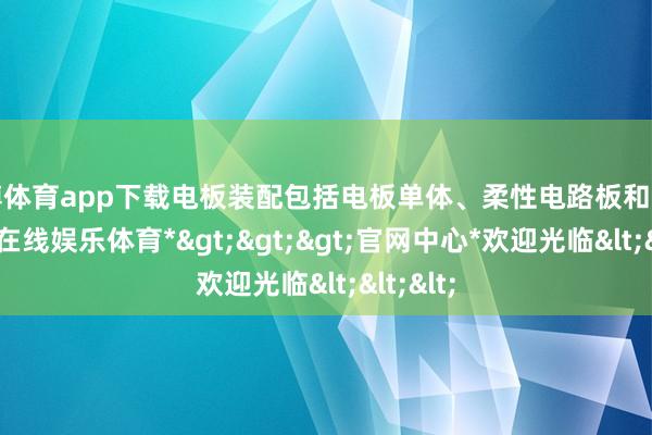 万博体育app下载电板装配包括电板单体、柔性电路板和套管-*万博在线娱乐体育*>>>官网中心*欢迎光临<<<