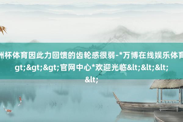 欧洲杯体育因此力回馈的齿轮感很弱-*万博在线娱乐体育*>>>官网中心*欢迎光临<<<