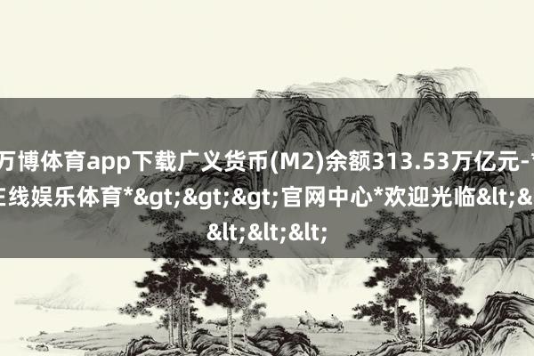 万博体育app下载广义货币(M2)余额313.53万亿元-*万博在线娱乐体育*>>>官网中心*欢迎光临<<<