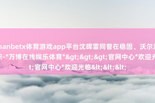 manbetx体育游戏app平台沈晖雷同曾在稳固、沃尔沃等传统车企任职-*万博在线娱乐体育*>>>官网中心*欢迎光临<<<