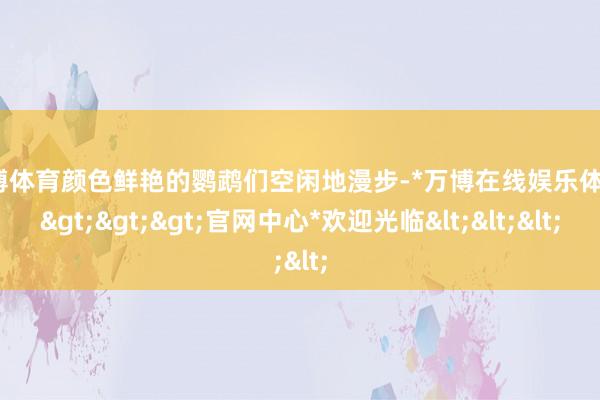 万博体育颜色鲜艳的鹦鹉们空闲地漫步-*万博在线娱乐体育*>>>官网中心*欢迎光临<<<